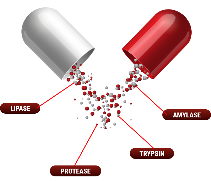 BLOOD SUGAR SUPPORT PLUS Where to Buy