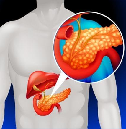 BLOOD SUGAR SUPPORT PLUS reviews
