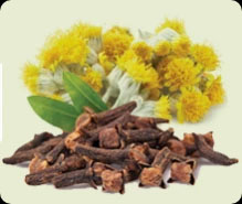 Lipid Control Plus