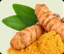 Lipid Control Plus